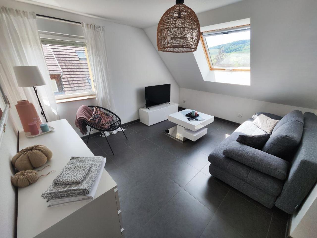 קינצהיים Bel Appartement En Centre Alsace מראה חיצוני תמונה